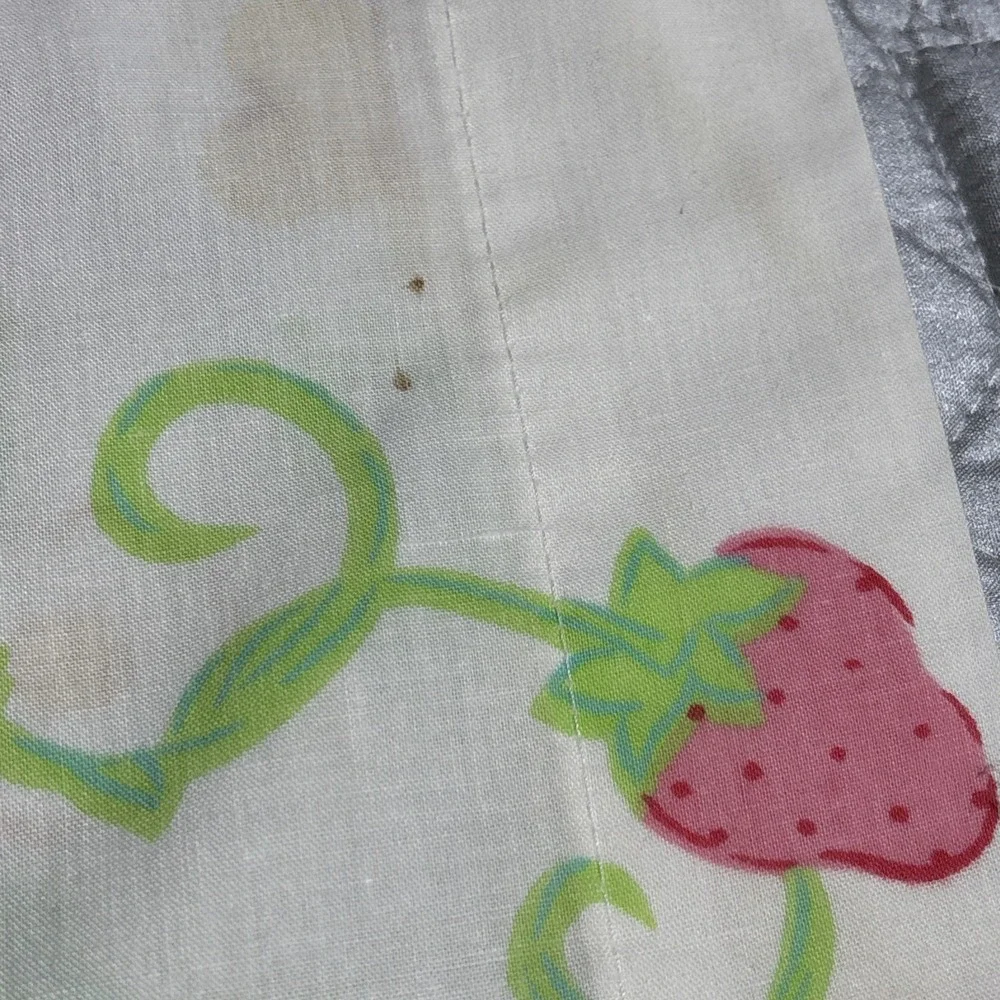 Strawberry Shortcake Pillowcase 1980 American Greetings Vintage Blueberry Muffin
